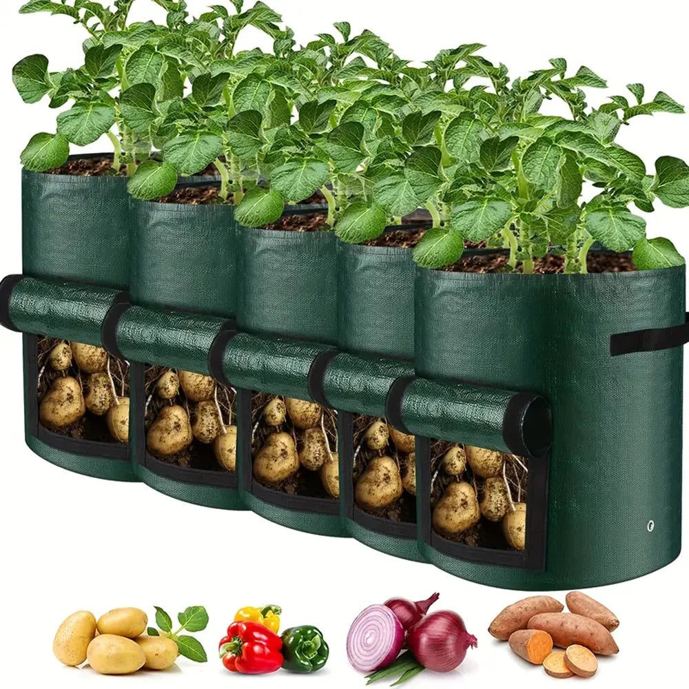 🌱 GrowBag™ Pflanzsäcke – 5er-Pack 