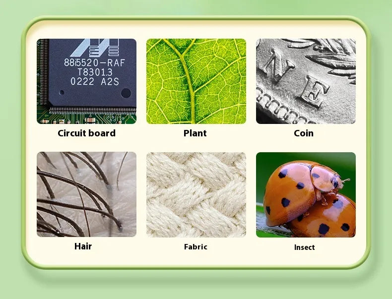 🔬 Little Explorer™ – Microscópio eletrónico infantil (1000x) 